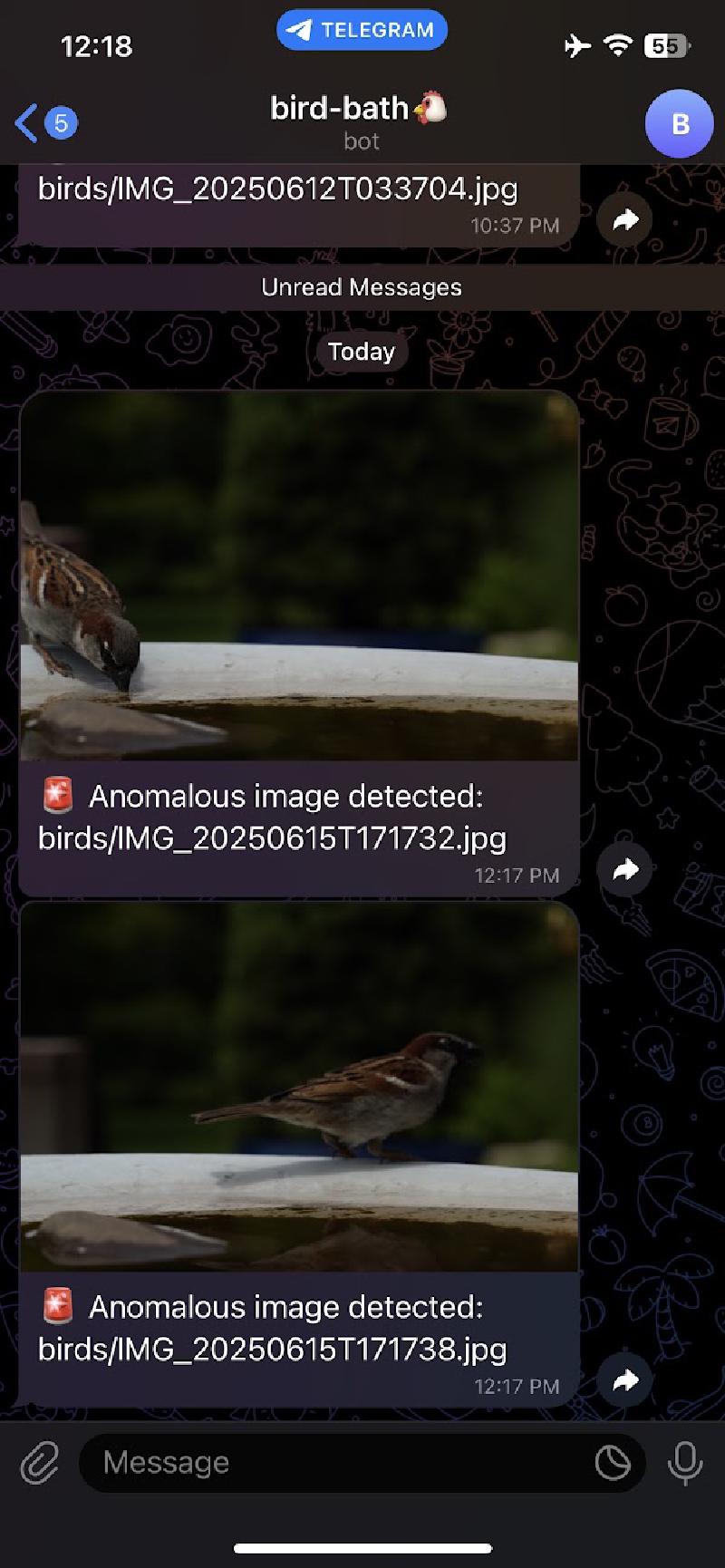 Telegram notification